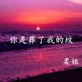 柔姐 - 你是葬了我的坟