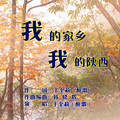 于全莉 - 我的家乡我的陕西 (女版)