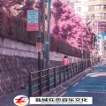 枫总、在忠、陌路相逢 - 希望我是你低谷期的一道光