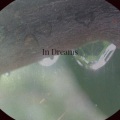 In Dreams