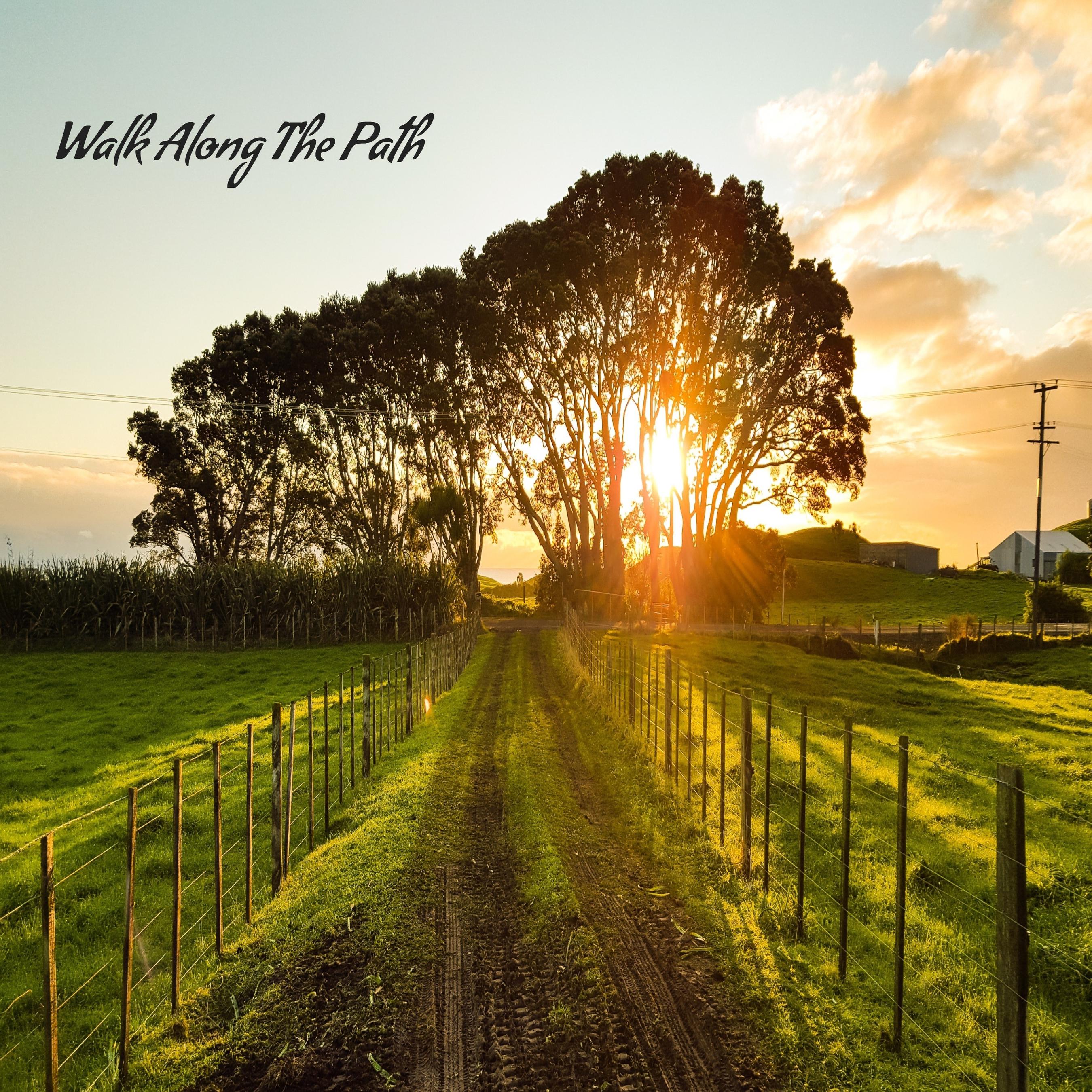 Angie Hawke - Walk Along the Path