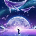 _糖心儿 - 99%