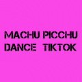 dj Tik Toker - Machu Picchu- Dance Tiktok