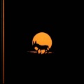 Zanahoria - Alma Zanahoria