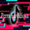 Relajo、Tendencia、challenge - Perra Envidiosa