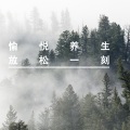 轻音乐古筝九大名曲|纯音乐|优美音乐