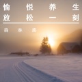 广岛之恋 (治愈心灵纯音乐) (经典钢琴曲)