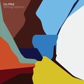 Co-Pilot - Shifting Patterns
