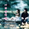 心雨醉情缘