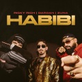 Habibi (German Remix)