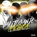 MC Titanic、MC Lukinhas 015 - Vai Jogando a Tcheca (Explicit)