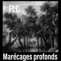 Marécages profonds (Explicit)