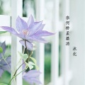 沐北 - 奈何桥孟婆汤