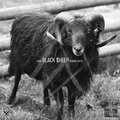Nxvi、Primer Akto .: - Black $heep (feat. Nxvi)(Explicit)