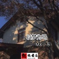 MX小东 - 洪荒之力硬曲