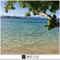 韩豫 - 夜未央 (萨克斯版)