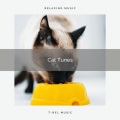 Music For Cats、Cats Music Cradle - Sleep Best Pet