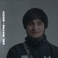 Asl Wayne - Qoch