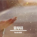 QK - 萱草花
