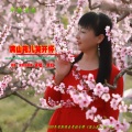 李红 - 满山花儿笑开怀 DJ (重鼓)