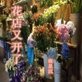 晓星沉 - 花店又开了