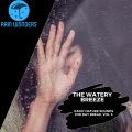 Drips Rain Elements Pink Noise Music - Heedless Insects & Frogs