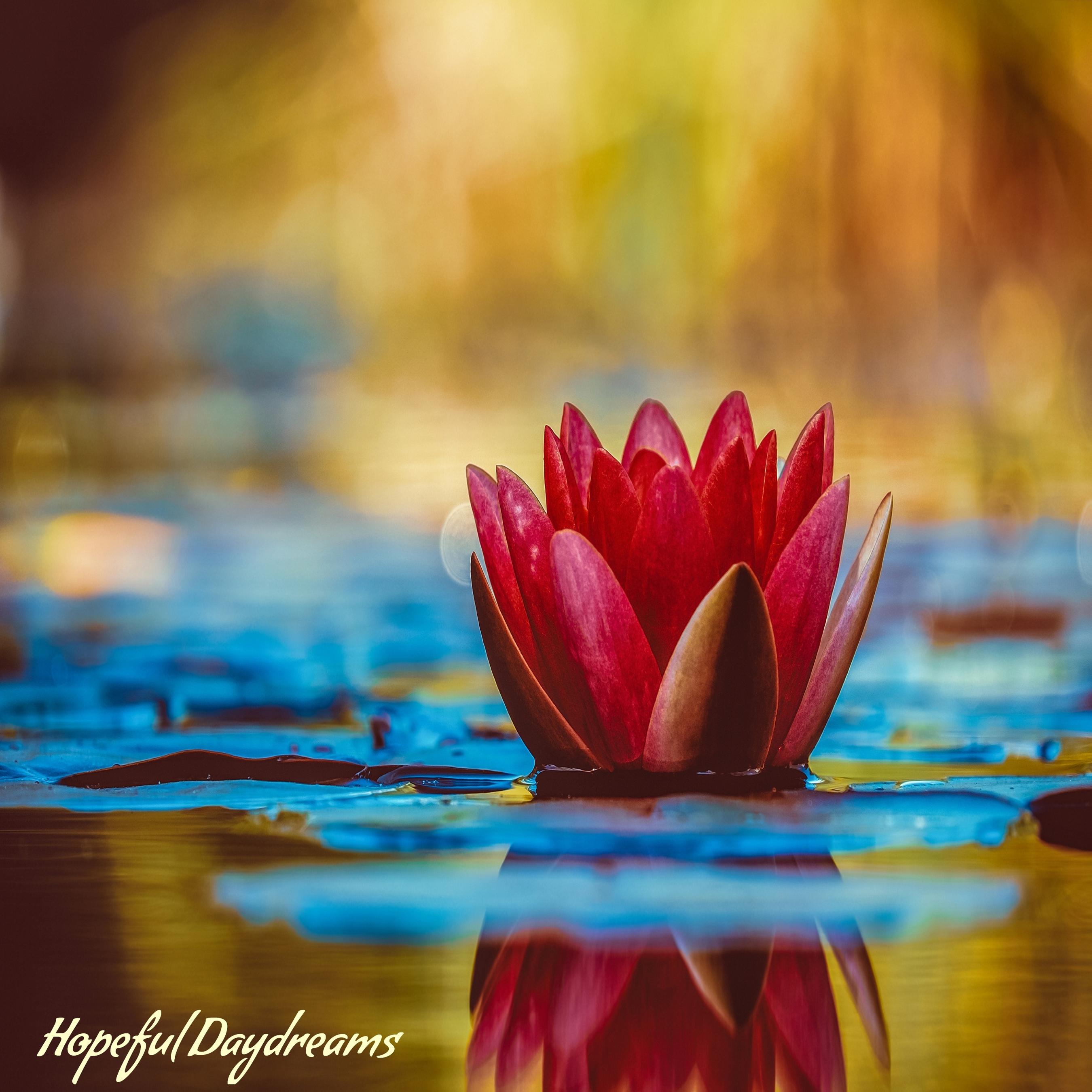 Angie Hawke - Hopeful Daydreams