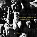 rhys fulber、Blush Response - Corruption of Form