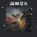 满眼的星光