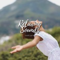 Cricket Sounds、Nature Sounds Collabo、Zen Master - Relax tales