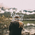 Cricket Sounds、Nature Sounds Collabo、Zen Master - Relax summer winds