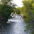 Cricket Sounds、Nature Sounds Collabo、Zen Master - Relaxing and chilling