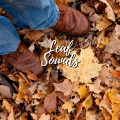 Cricket Sounds、Nature Sounds Collabo、Zen Master - calm leaf
