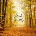 Cricket Sounds、Nature Sounds Collabo、Zen Master - leaf calm