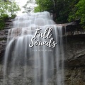 Cricket Sounds、Nature Sounds Collabo、Zen Master - waterfall for peace