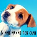 Club musicale dei sogni d'oro - Rimedio naturale per lo stress