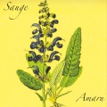 Amaru - SAUGE