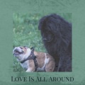 Gabor Pallos - A Heartwarming Tale of Uplifting Moment