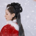 Shirley Sun - 琵琶语