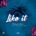 Like It (feat. J Tone Garrylo & Rose)(Explicit)