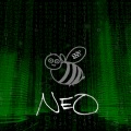 888 - NEO