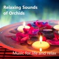 Music for life and relax - Deep Sleep