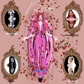 Veronica Lee、Viviane Schuz、Hillary Pink、Ashley Brook、Vogel - Rosas