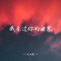 赵元庆 - 我来过你的世界
