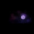 樓月幸 - 幸せを願う権利さえなくした