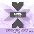 Mattia Evo - Drive Me Crazy