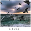 代总 - 失去了我的爱