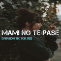 dj Tik Toker - Mami No Te Pase (VersionTikTokRd)