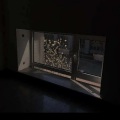 鸽鸽澈 - 房间里开始下起雨