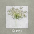 Mark Healey - Flowers for the Queen